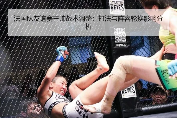 法国队友谊赛主帅战术调整：打法与阵容轮换影响分析